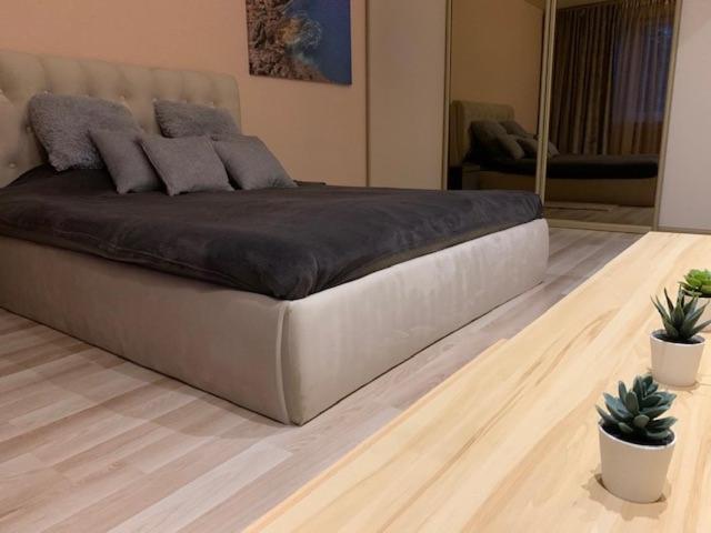 Oak Lounge Lux Apartment Ρίγα Εξωτερικό φωτογραφία