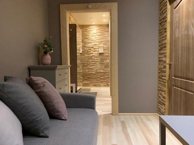 Oak Lounge Lux Apartment Ρίγα Εξωτερικό φωτογραφία